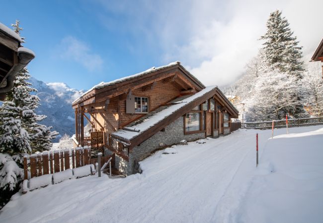  in Wengen - Chalet Hüttli